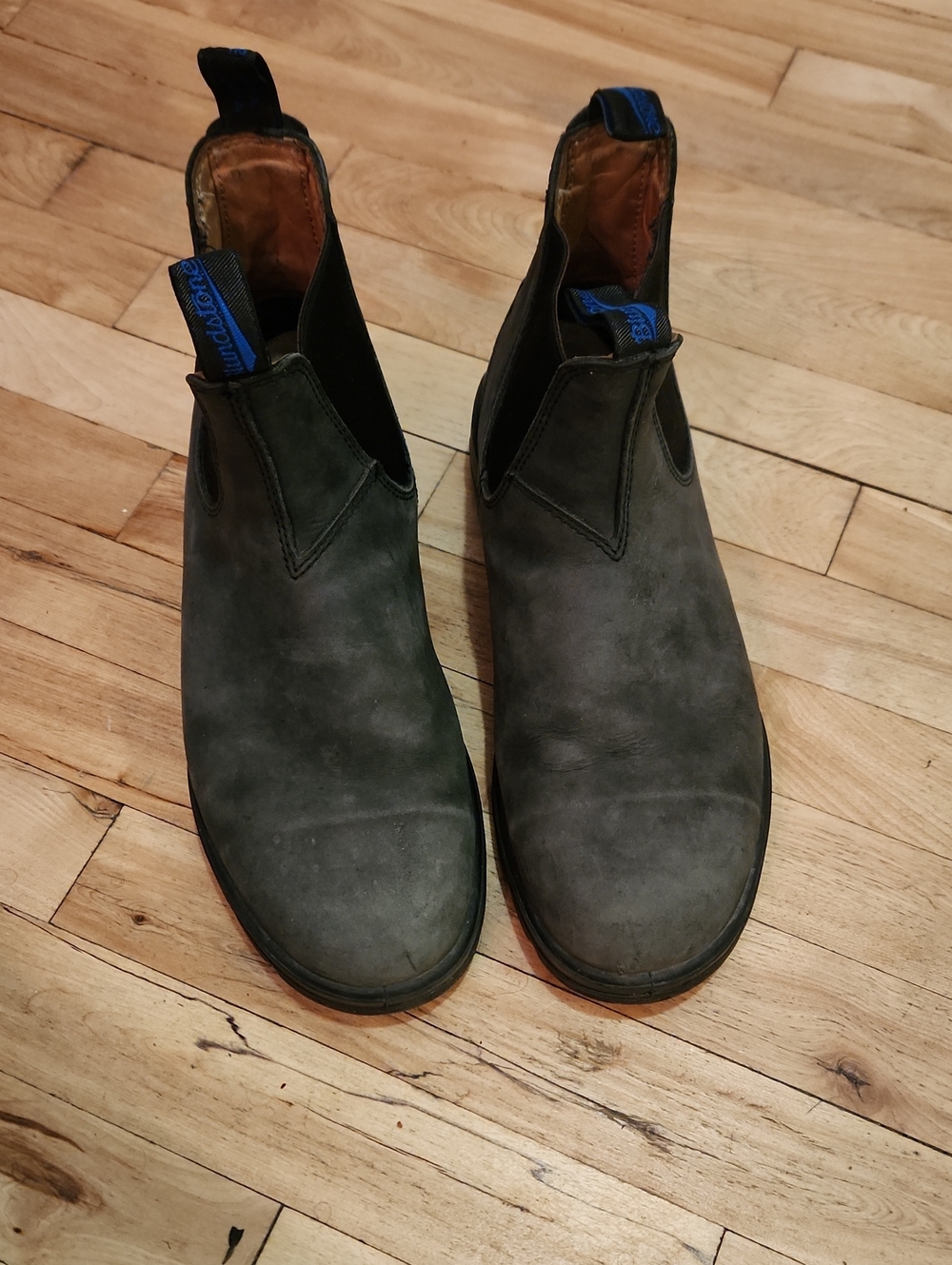 Blundstone Men's Chukka Boots in Dark Gray with Blue Pull Tabs